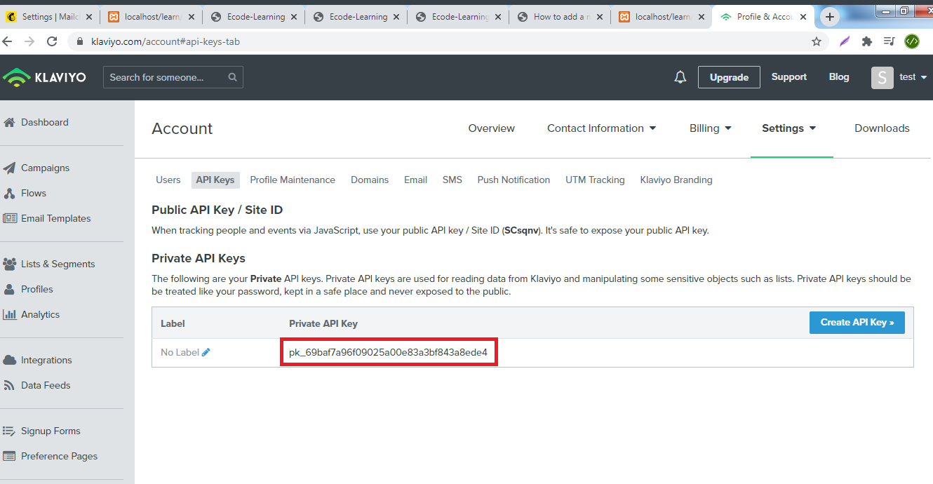 Klaviyo API key